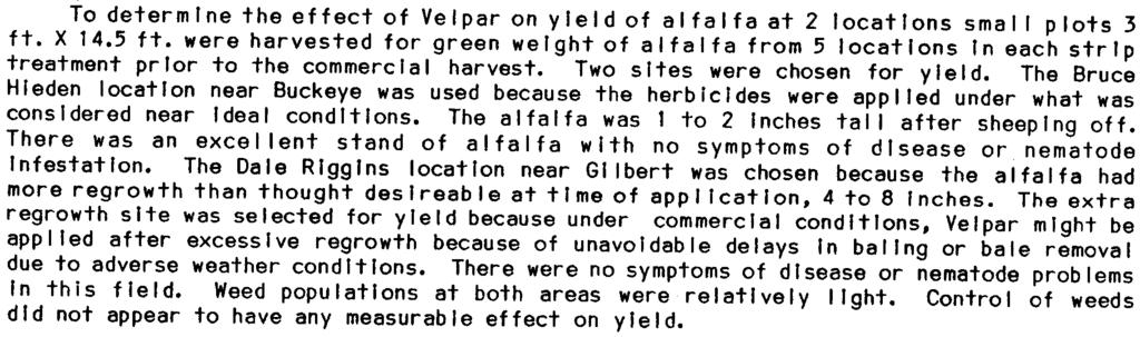 severely In those locations where salty or compacted soli occurred or where there were stem nematode InfestatIons. Paraquat damaged all alfalfa foliage It contacted.