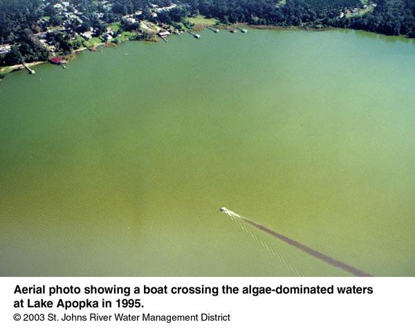 Lake Apopka Hypereutrophic TN =