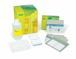 HIGH-PERFORMANCE IMAGING EASY, FLEXIBLE INTERACTION STAIN-FREE ENABLED WESTERN BLOTTING CONSUMABLES Prepacked Transfer Consumables All the resources needed for an efficient transfer process