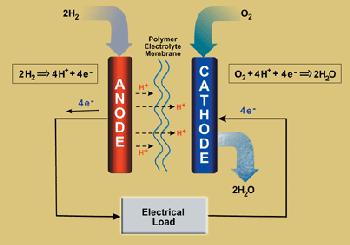 Fuel Cell fuel cell is an electrochemical energy conversion device. It produces electricity from external supplies of fuel (on the anode side) and oxidant (on the side).