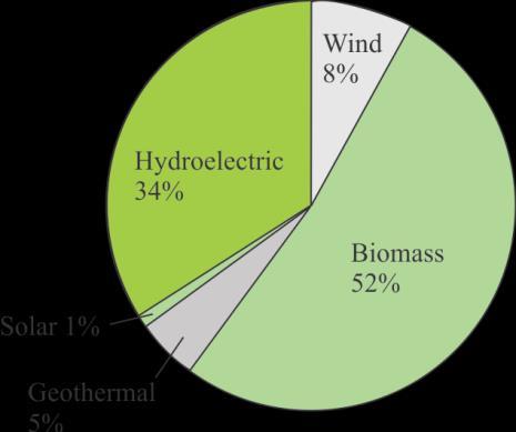 1-7 Biomass and Biofuel Resources Biomass fuels are fuels derived from organic matter and they comprise the largest segment of the renewable energy sector.