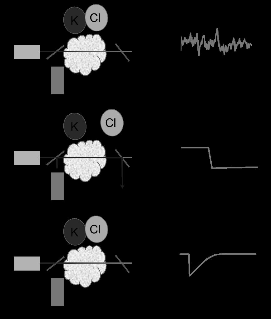 Figure 1. The principles of KCl detection using CPFAAS. a) IR laser measures the temporal transmission through the sample.
