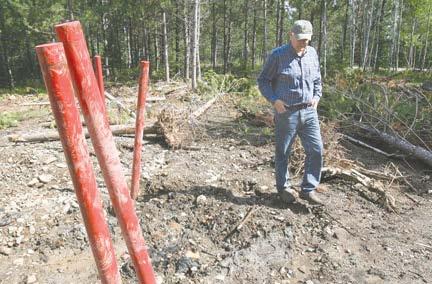 DULUTH NEWS TRIBUNE Precious Metals, precious wilderness Steve Koschak, owner of River Point Resort, walks through an area in the Superior National Forest that was recently drilled in the Duluth