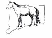 Connecticut Horse Environmental Awareness Program The Art and Science of Pasture Management Is the area you call pasture looking more like a dusty weed patch than a healthy grass population that