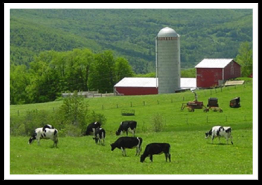 Ruminants must be on pasture throughout the grazing season. Must have daily outdoor access in the non-grazing season.