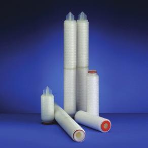 Filters Advanced hydrophilic polyethersulfone membrane Absolute removal ratings of 0.1 μm, 0.