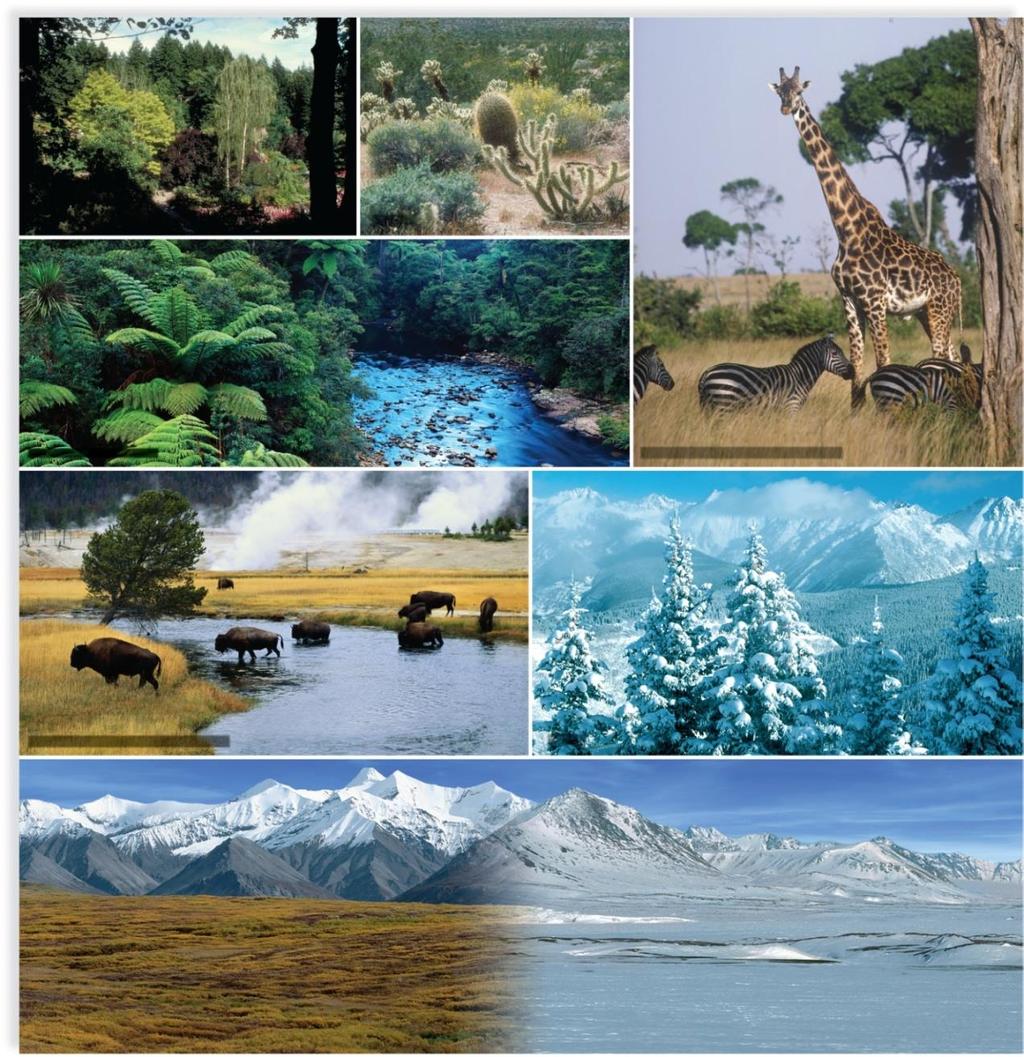 23.1 The nature of ecosystems Terrestrial ecosystems Copyright The McGraw-Hill Companies, Inc. Permission required for reproduction or display.