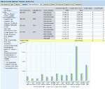 SAP HANA Reporting & Analytics for
