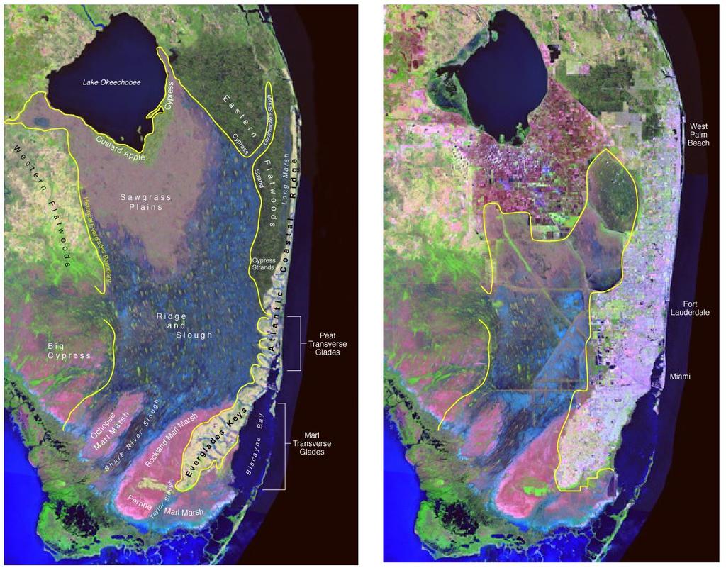 Lake Okeechobee & The Herbert Hoover Dike Everglades Agricultural Area Water