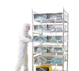 storage The Flexboy tray and rack systems are designed to facilitate handling of both individual and manifold Flexboy single-use bioprocessing bags (5 50 L) within biopharmaceutical