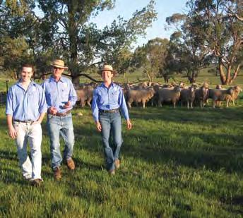 86 Production Pastures Case Study: Kim and Wendy Muffet, Central West NSW Kim and Wendy Muffet, from Wirrinya near Forbes, incorporated pasture cropping into their holistic management approach to