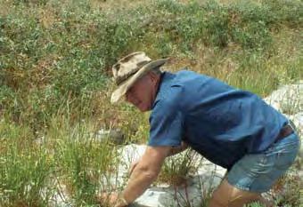 94 Environment Natural assets Case Study: Craig Forsyth, Northern Wheatbelt, WA Craig Forsyth wishes farmers had known the value of biodiversity decades ago.