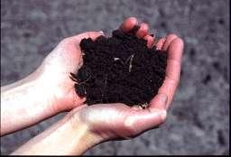 WHAT IS SOIL QUALITY DEPENDS ON WHO YOU ARE: Farmer: Highly productive, sustainable soil having certain properties