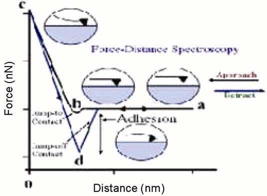 Schematic of force distance spectroscopy showing two major instabilities in terms of jump-into-contact and jumpoff-contacts. ction of annealing temperature must be guided by the application.