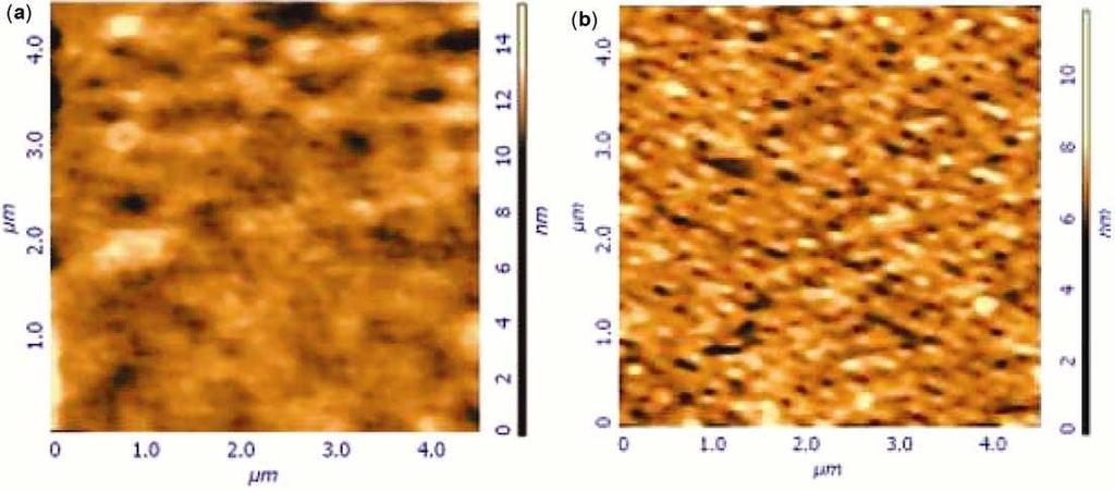 736 Subir Sabharwal et al Figure 11. Typical grain structure of the sputtered deposited nickel film on n-type Si: (a) as deposited and (b) after annealing at 500 C.