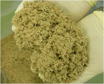 Demonstration Research 2 in Kobe City Evaluation of demonstration test results Suitable biomass for co-digestion in WWTP are selected through laboratory analysis and testing - sludge, waste acid and