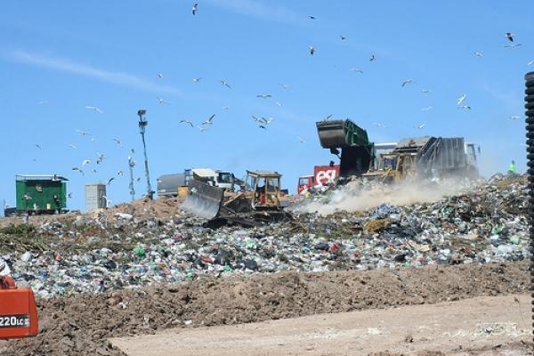 3 Waste Management Challenge: Organic Waste