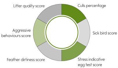 Laying hens data Laying hens show a good score for litter quality, culls