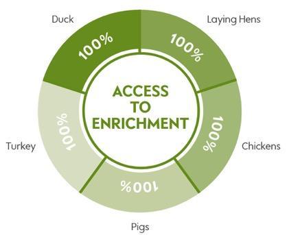 Enrichment data It is good to see that 00% of Waitrose laying hens, Chickens, Pigs, Turkey and Duck have access to enrichment.