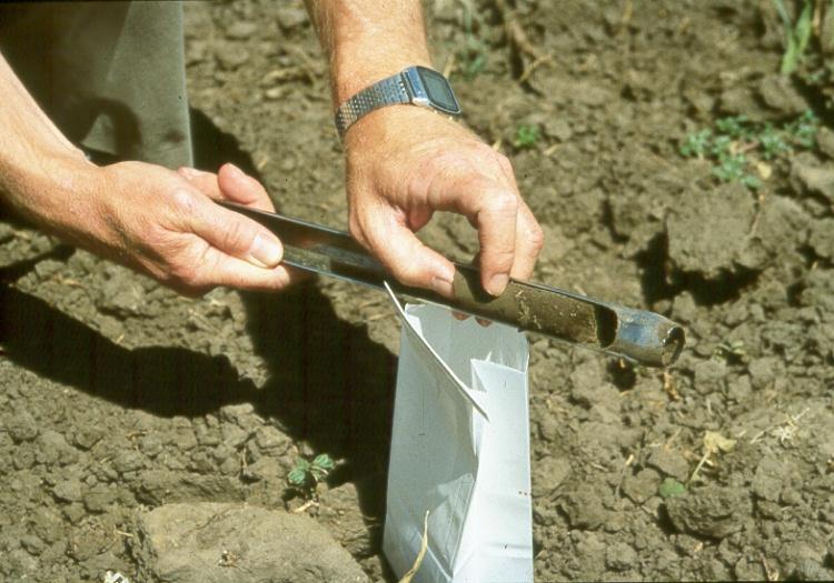 Why test your soil?