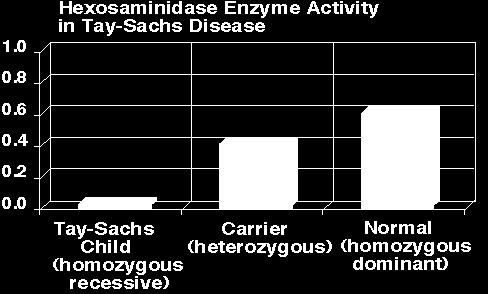 Is proportionately high incidence of Tay- Sachs disease among
