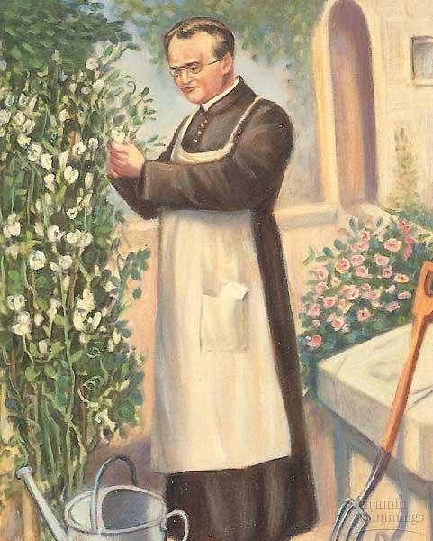 Mendel's Plant Breeding Experiments Gregor Mendel was one of the first to apply an experimental
