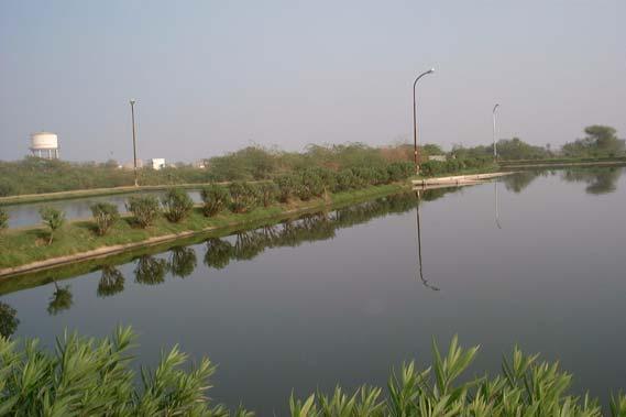 WASTE STABILIZATION PONDS Process based on solar energy and, therefore, appropriate for Indian climatic conditions Treatment system comprises of three types of ponds in series (anaerobic pond 1 day