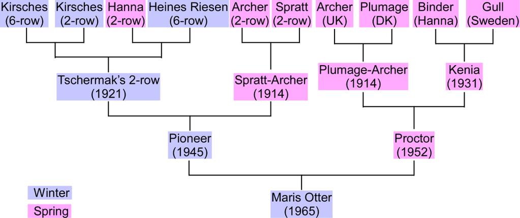 Pedigree of the most successful winter malting barley Fischbeck G (1992) Barley cultivar development in Europe - success in the past and possible changes in the future.