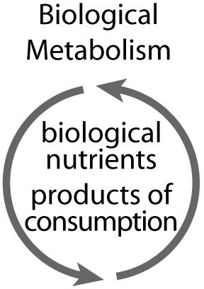IPS recognizes two metabolisms within which materials flow as healthy nutrients.