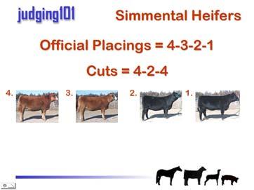 More Livestock Judging Materials Practice Judging Beef Cattle MDS152 Practice Judging Beef Cattle is an onscreen resource that features five heifer classes, four steer classes, and one bull class.