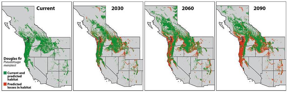 Climate Impacts in Oregon Vegetation Change As the climate in western North America