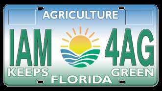 Florida Agriculture in the Classroom is a non-profit association charged with educating Florida students and teachers about the importance of Florida agriculture.