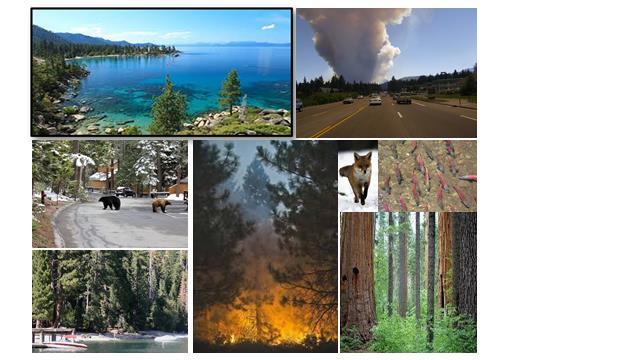 Maintaining Forest Health and Water Quality in the Lake Tahoe Region We invite you to share your opinions about what