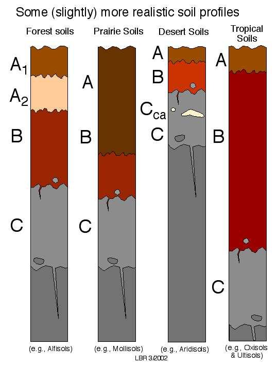 Different Soils have different layer profiles.