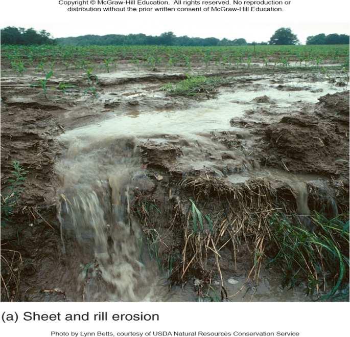 Soil Losses Cut Farm Production Every year, about 3 million hectares of cropland worldwide are made unusable by erosion and another 4 million
