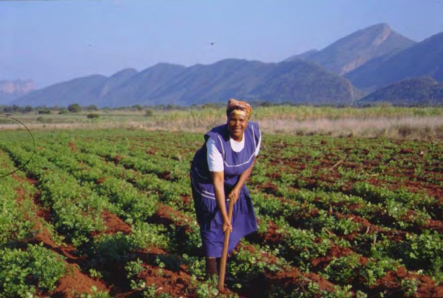 Grootfontein scheme South Africa Allocate irrigated land to women
