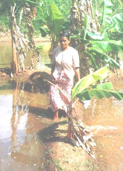 Public schemes with land reform-5 Sri Lanka Bangladesh Lessons