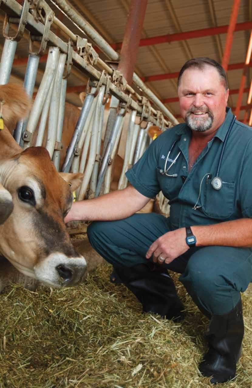 How Are the Animals Kept Healthy? Veterinarians routinely visit dairy farms to conduct check-ups, administer vaccinations and treat illness.