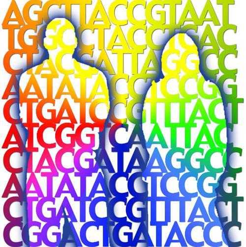 Population genetics The study of the frequency