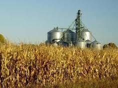 Bio Refineries Key Considerations Feedstock Price