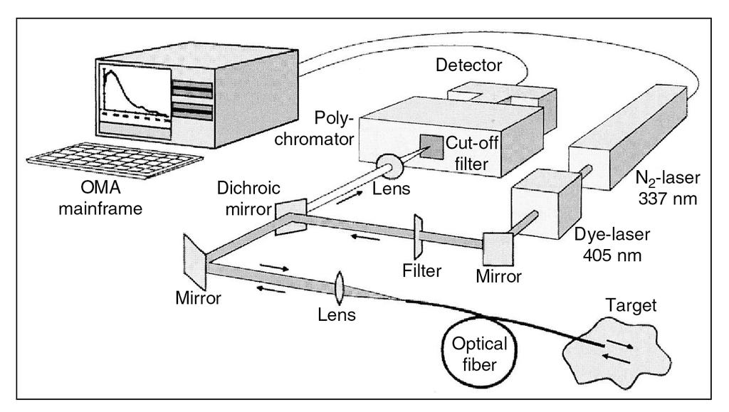 Fluorosensor for Fiber-Optic Point