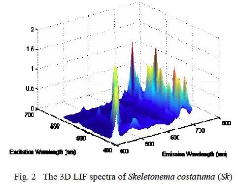 An Ocean Lidar: LIF Measurement q 3-D laser-induced fluorescence (LIF) spectra are effective for in vivo phytoplankton classification.