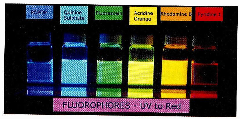 Fluorescence Spectroscopy q Fluorescence is emission of light from singlet excited states to the ground states (singlet).