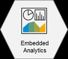 Embedded Analytics Increase business insights through comprehensive embedded analytics functionality for