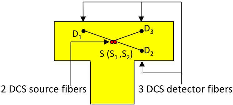 Figure 6.1: A fiber-optic probe consisting of two source fibers (S 1 = 785 nm and S 2 = 853 nm) and three detector fibers (D 1 to D 3 ).