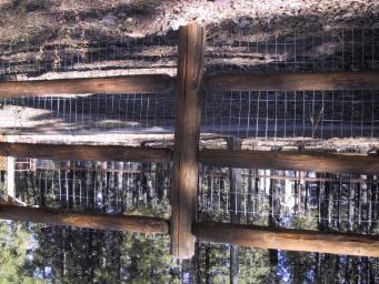 Only unpainted, treated wooden split rail is allowed. An unpainted metal mesh may be affixed to the interior portion of the fence to assist in containing animals.