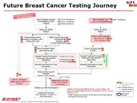 Selected Project Examples CDx Strategic Planning in Breast Cancer CDx Competitive