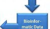 Bioinformatic Data Analysis Normalization Correlation