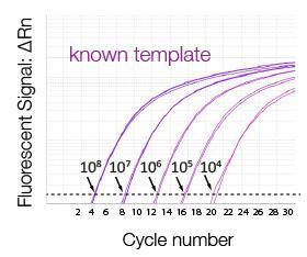 Real-Time Quantitative PCR Quantitative measurement of DNA target in environmental samples: ABSOLUTE QUANTIFICATION An absolute quantification can be obtained after establishing a STANDARD CURVE