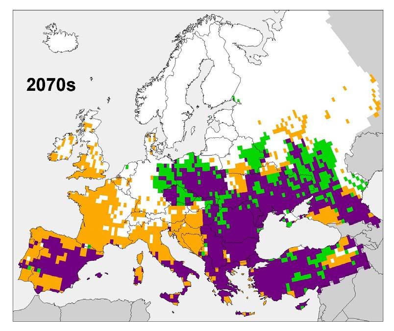 Expected impacts of climate change and economic development Proportion of severe water stress EU river basins likely to increase from 19% today to 35% by 2070.
